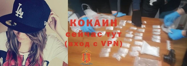 прущие грибы Балахна