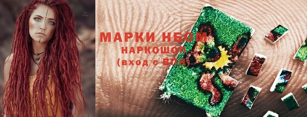 прущие грибы Балахна