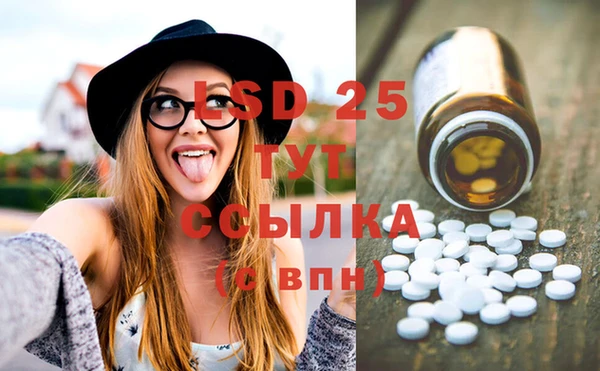 прущие грибы Балахна