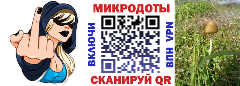 Псилоцибиновые грибы Magic Shrooms  Нязепетровск 